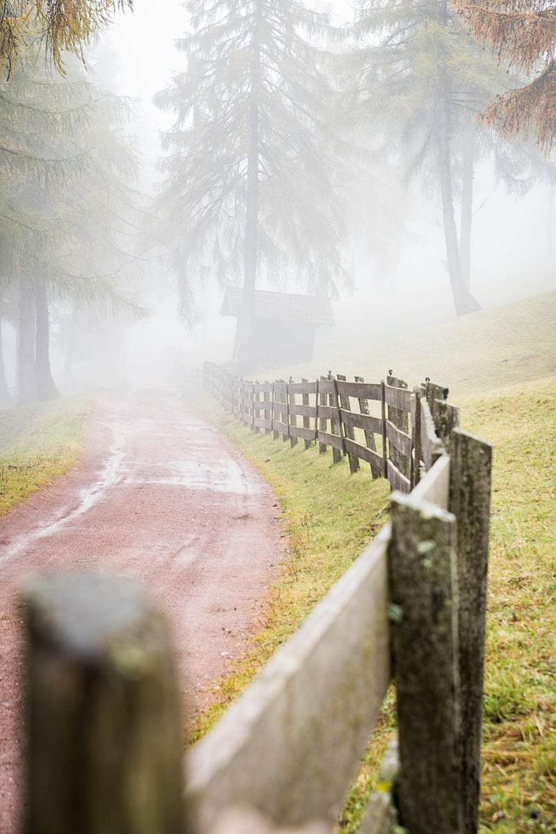 Magical Pathways